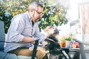 woman-nuzzles-cat Un schnauzer se tient sur les genoux d'un homme assis à une table de patio en plein air