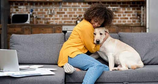 Woman in yellow sweater hugging her yellow lab while sitting on a gray couch.