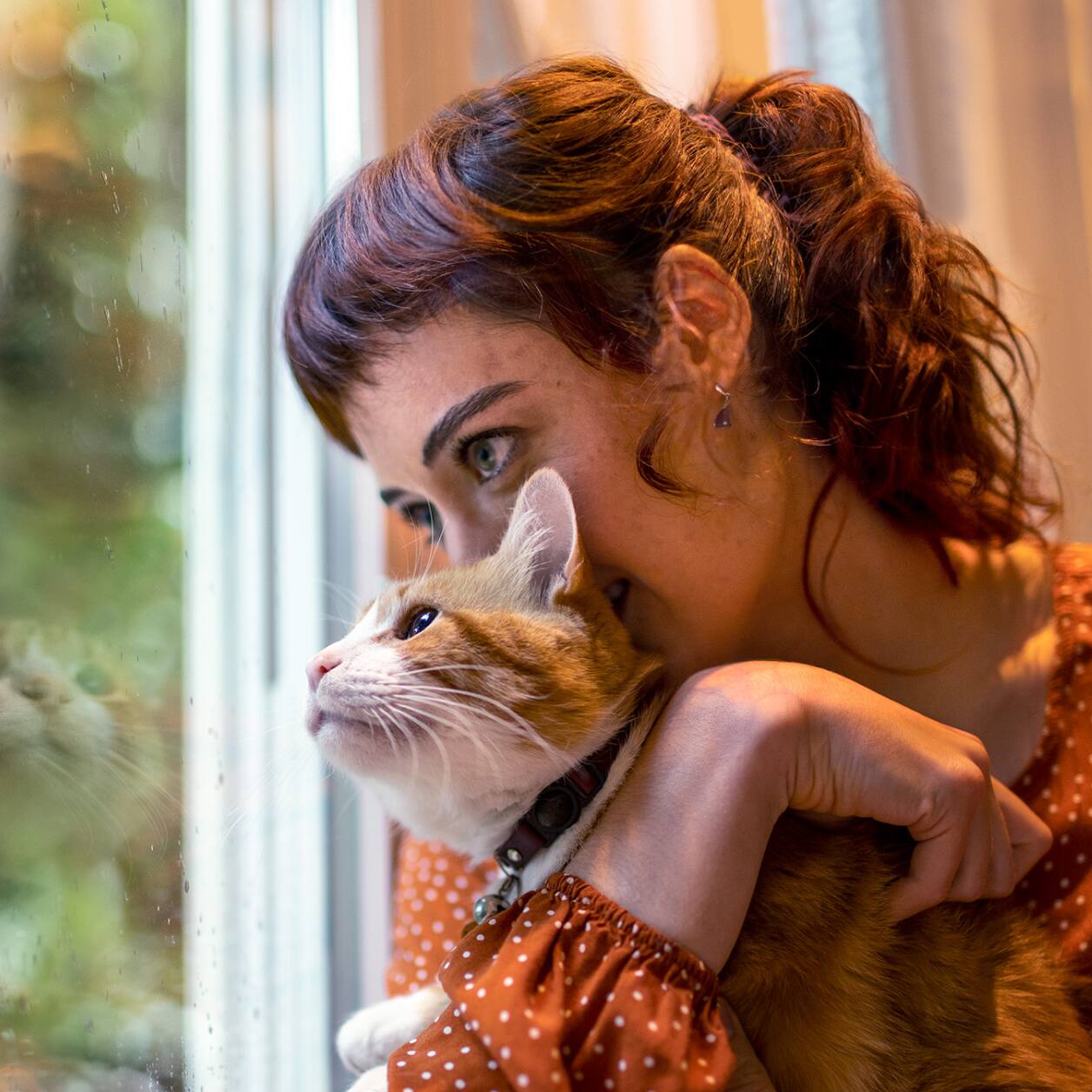 Rote Katze mit Besitzerin am Fenster