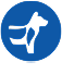 Icon Muskelversorgung