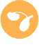 Icon Harnwegsgesundheit