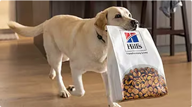 Hund mit einem Beutel Futter in seinem Maul