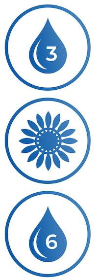 Icon omega 3, Blumen, omega 6