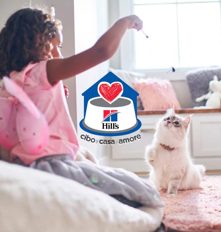 Bambina che dà un premietto al suo gatto bianco