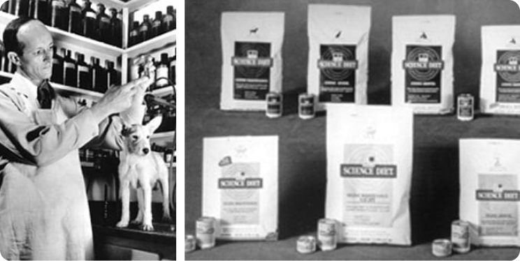 Dr. Mark Morris Sr. untersucht einen Hund