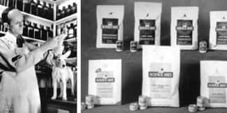 Dr. Mark Morris Sr. untersucht einen Hund