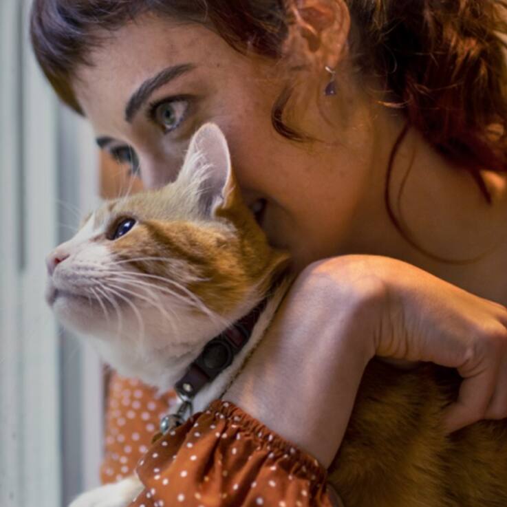 Frau in orangem Sweater hält eien Katze im Arm